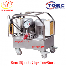 Bơm điện thuỷ lực TorcStark (DP304-8)