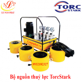 Bộ nguồn thủy lực TorcStark (RMCD02D)